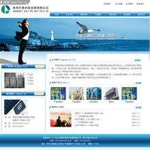 数字艺术之韵 50款行业网站精品欣赏